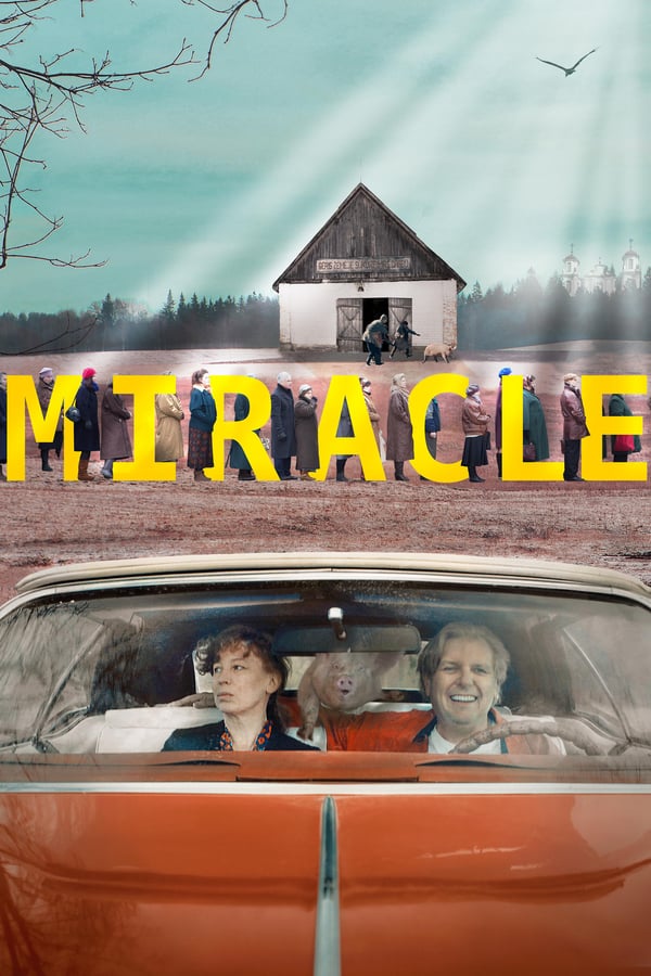 Cover of the movie Miracle