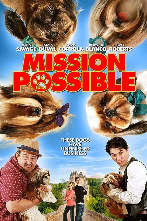 Cover of the movie Mission Possible