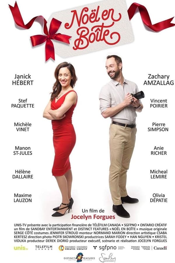 Cover of the movie Noël en boîte