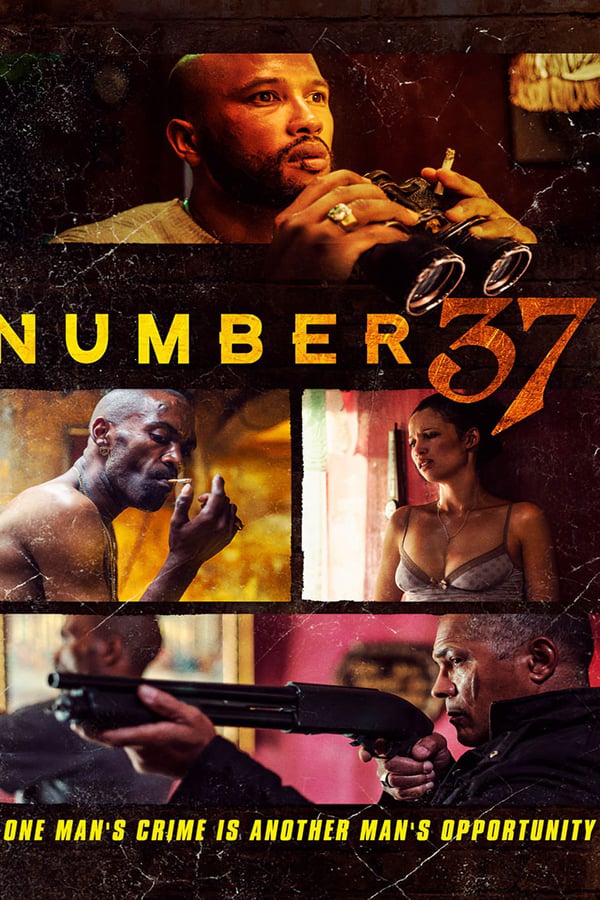 Cover of the movie Number 37