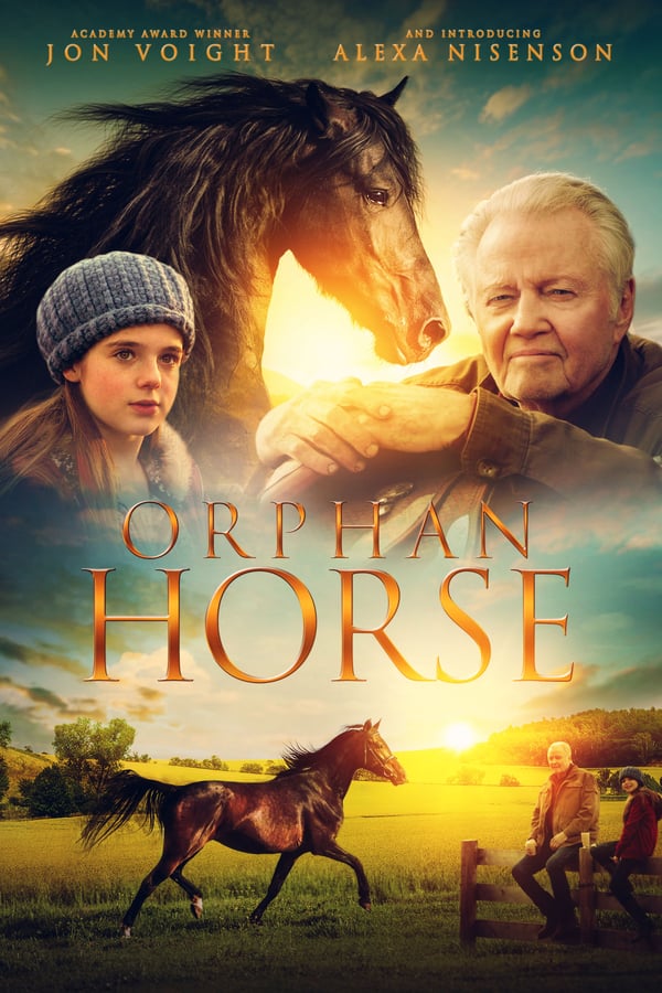 Cover of the movie Orphan Horse