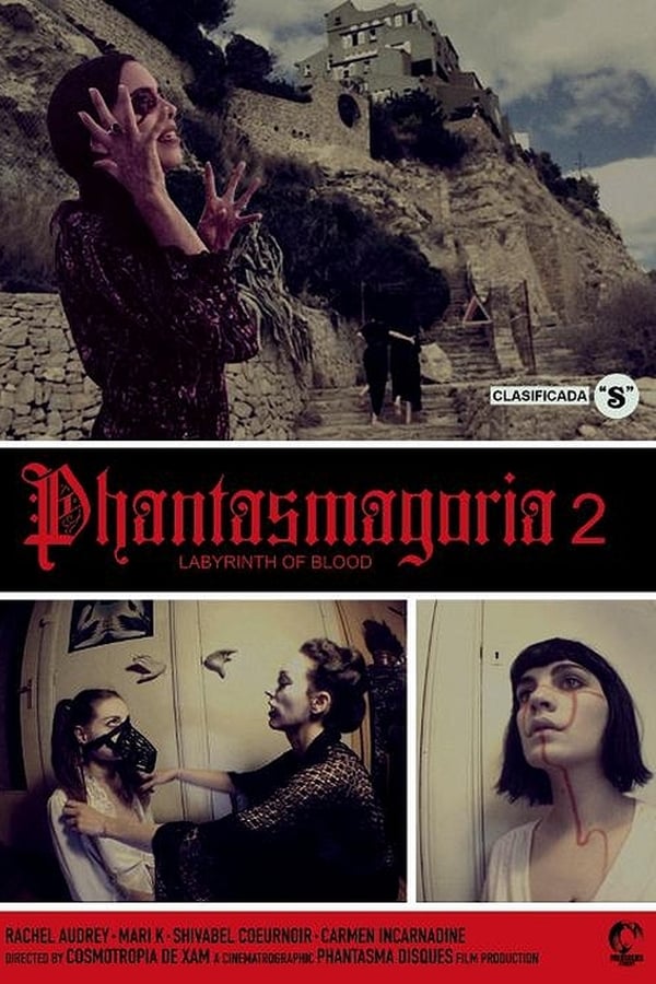 Cover of the movie Phantasmagoria 2: Labyrinths of blood