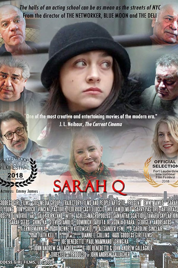 Cover of the movie Sarah Q