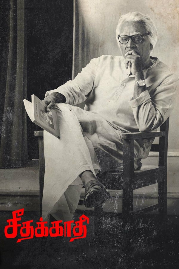 Cover of the movie Seethakathi