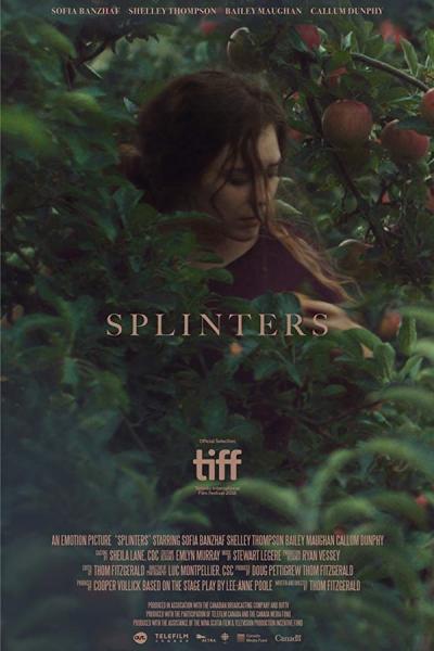 Cover of the movie Splinters