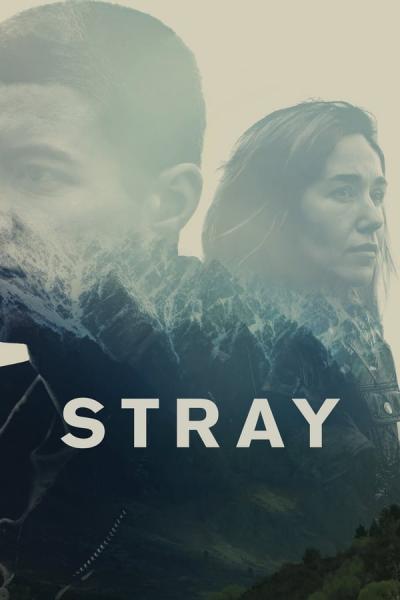 Cover of the movie Stray