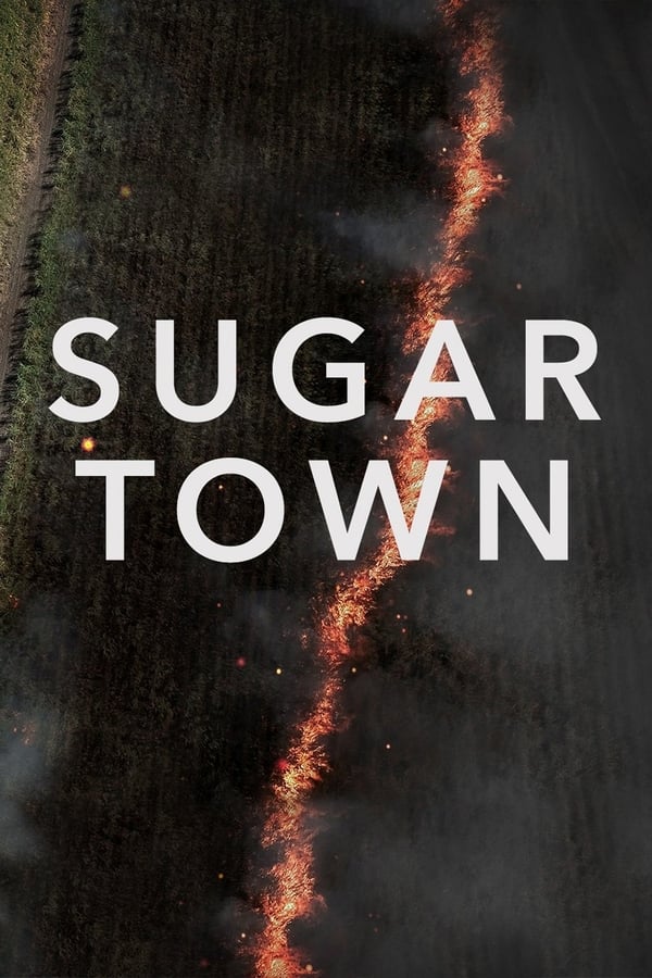 Cover of the movie Sugar Town