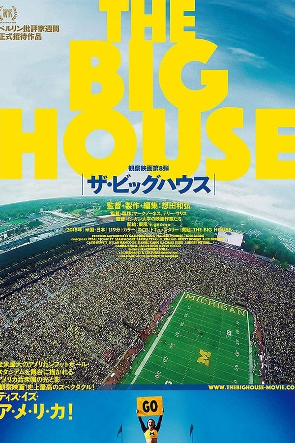 Cover of the movie The Big House