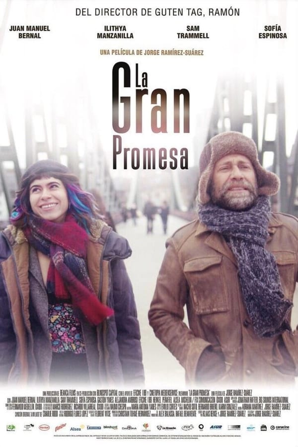 Cover of the movie The Big Promise