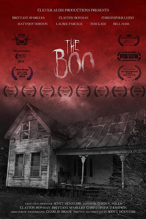 Cover of the movie The Boo