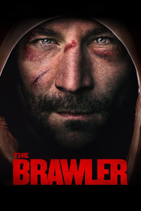 Cover of the movie The Brawler