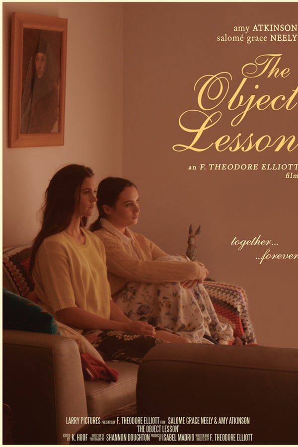 Cover of the movie The Object Lesson