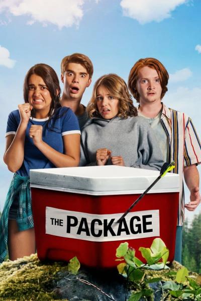 Cover of the movie The Package