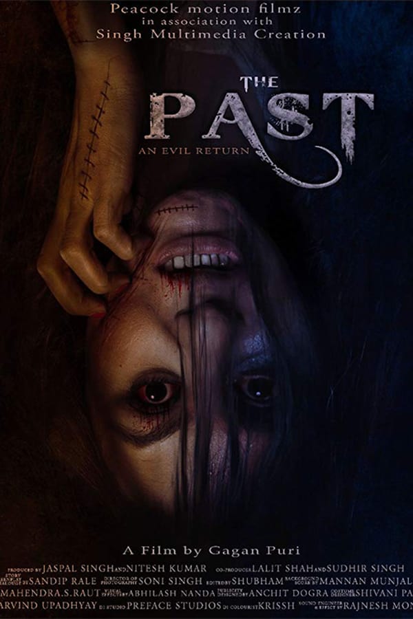 Cover of the movie The Past
