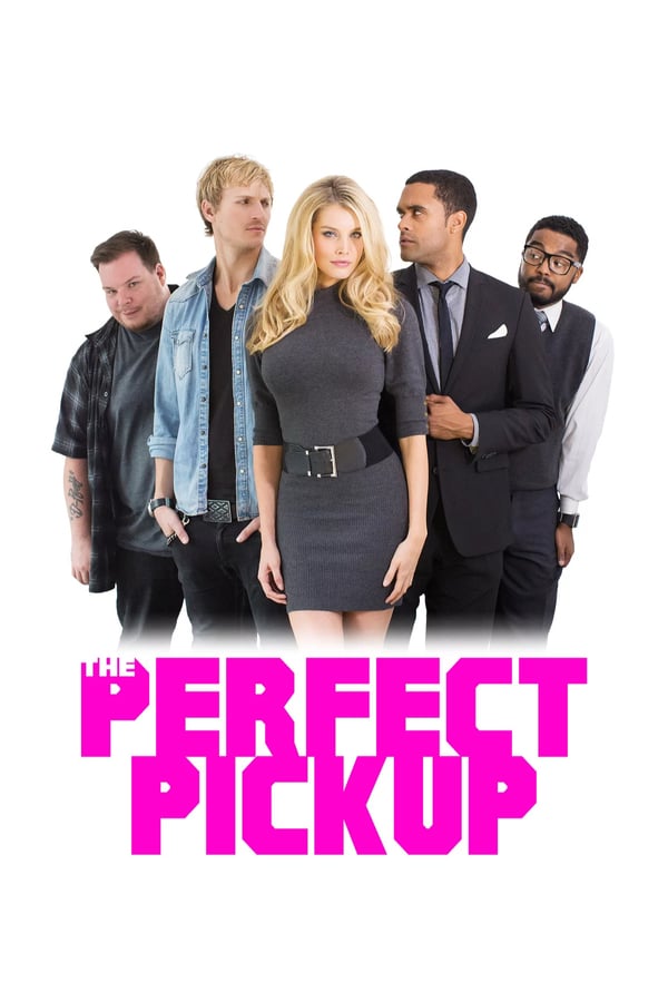 Cover of the movie The Perfect Pickup