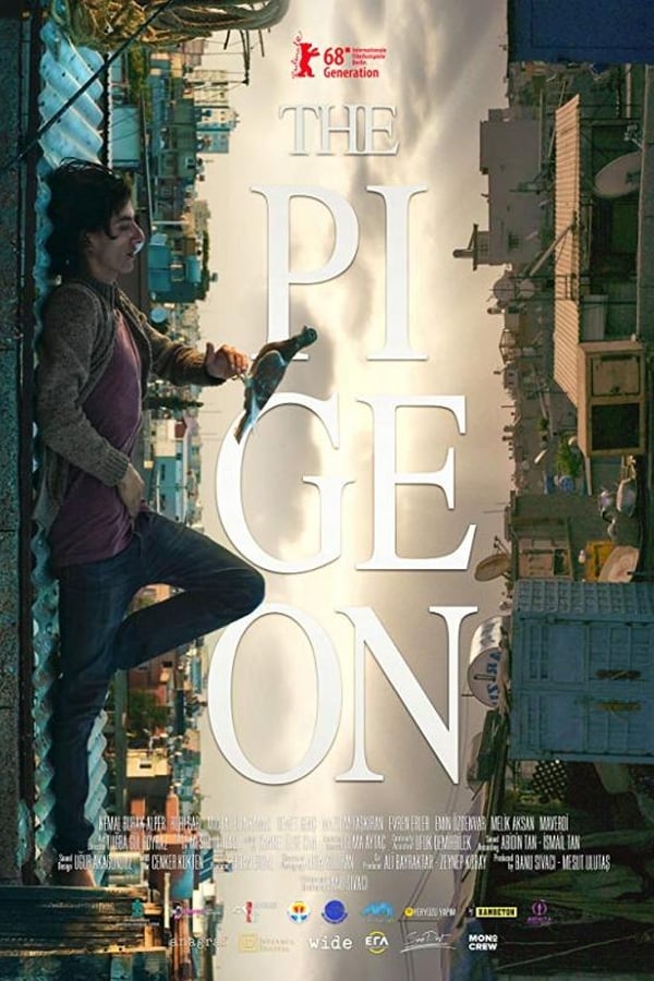 Cover of the movie The Pigeon