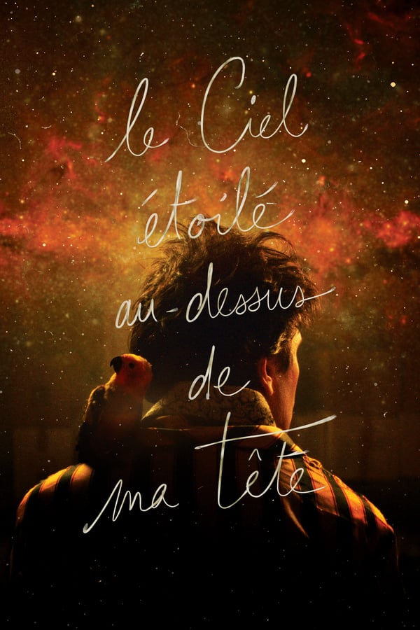 Cover of the movie The Starry Sky Above Me