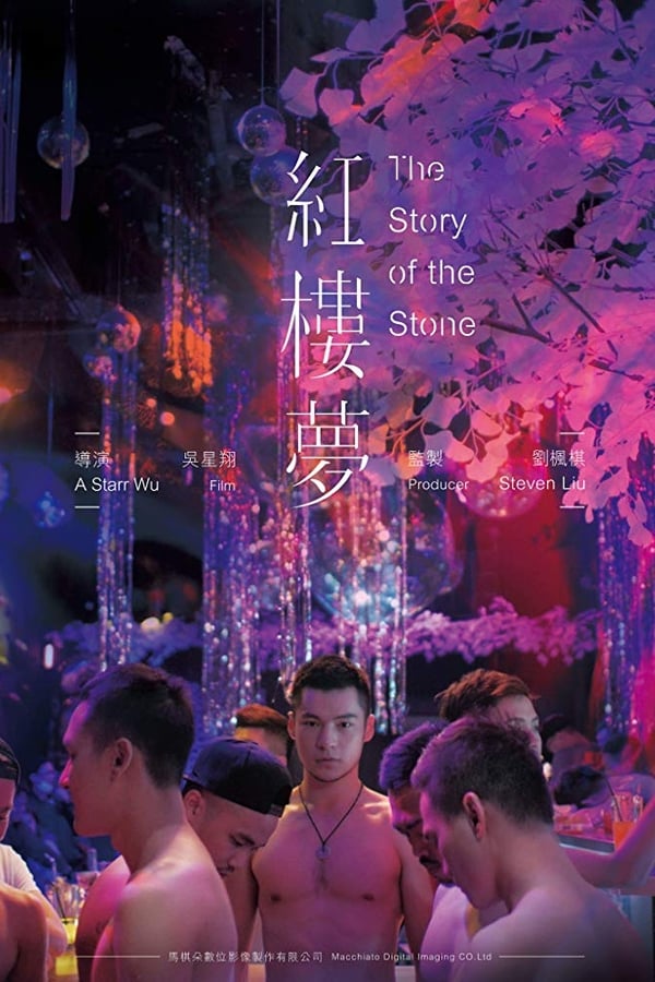 Cover of the movie The Story of the Stone