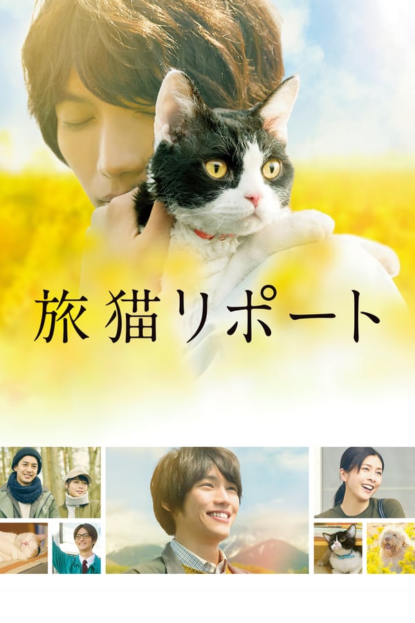 Cover of the movie The Travelling Cat Chronicles
