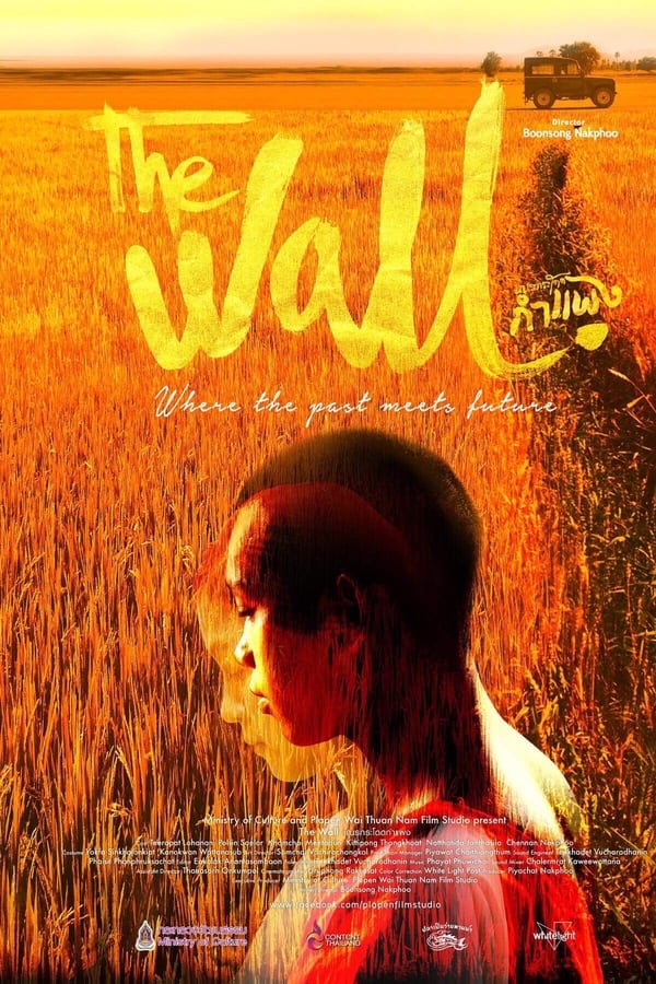 Cover of the movie The Wall