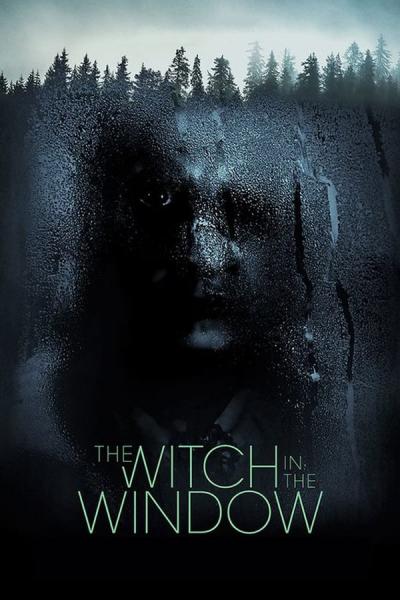 Cover of The Witch in the Window