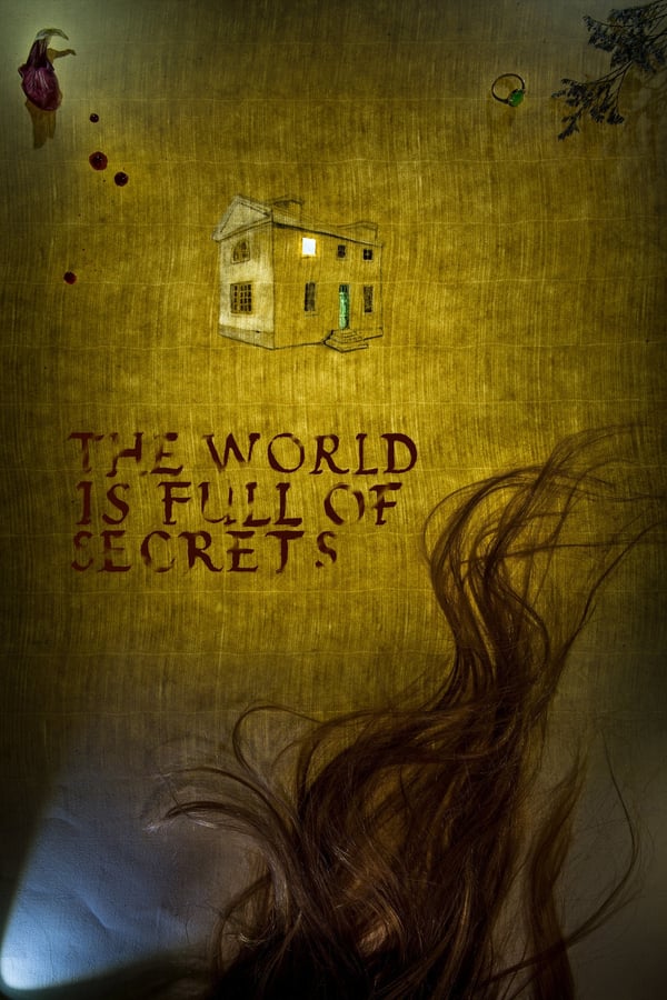 Cover of the movie The World Is Full of Secrets