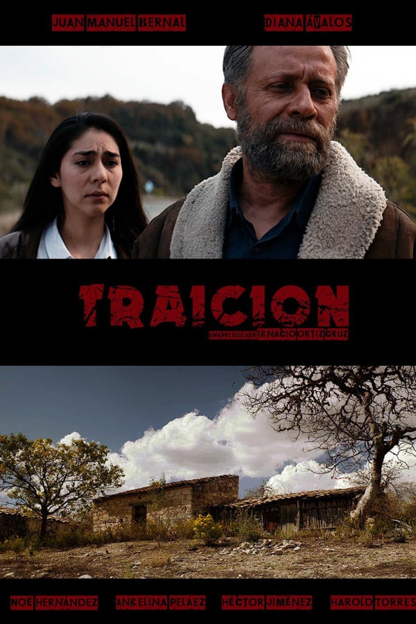 Cover of the movie Traición