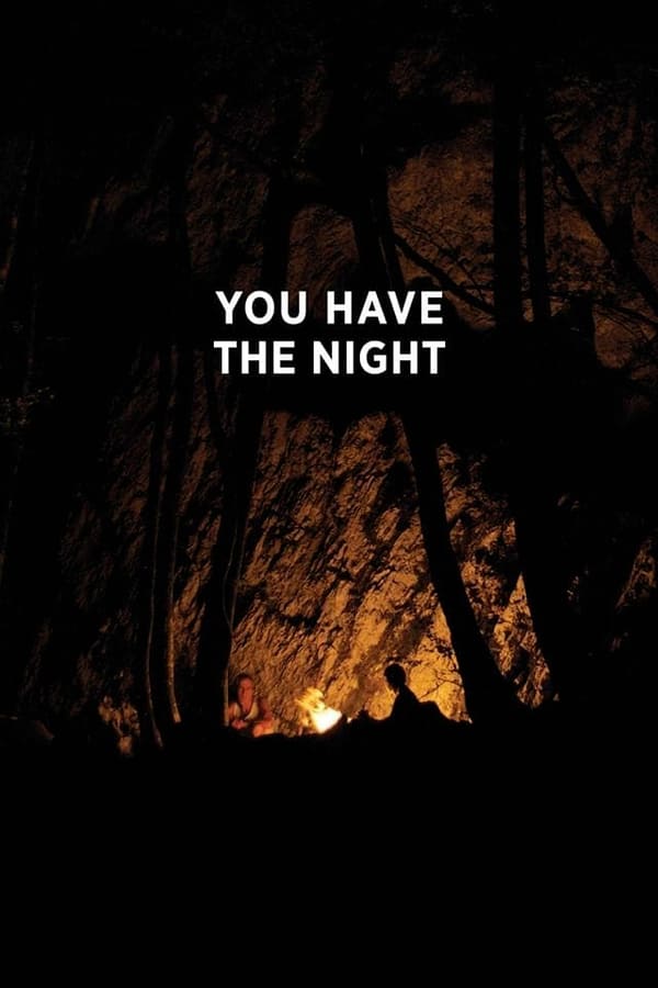 Cover of the movie You Have the Night