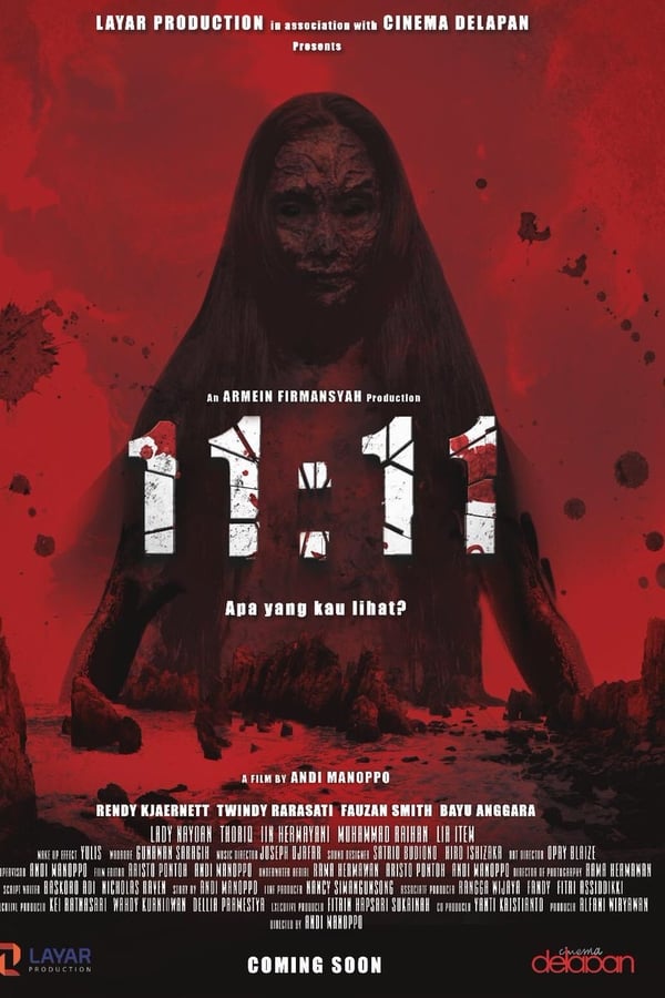 Cover of the movie 11:11: What Did You See?