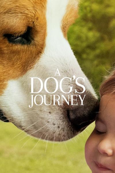 Cover of the movie A Dog's Journey