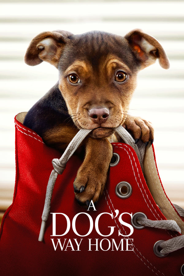 Cover of the movie A Dog's Way Home