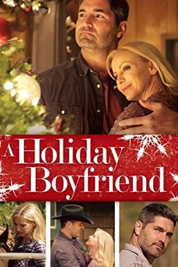 Cover of the movie A Holiday Boyfriend