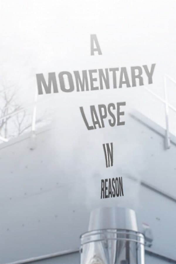 Cover of the movie A Momentary Lapse in Reason