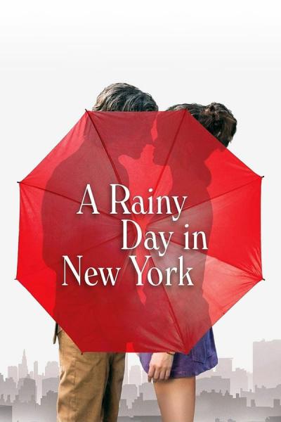 Cover of A Rainy Day in New York