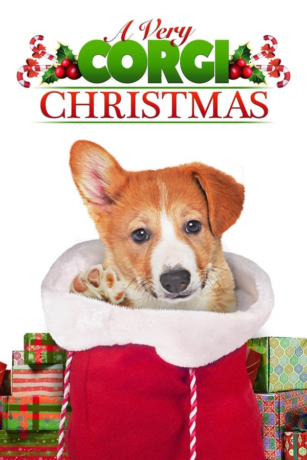 Cover of the movie A Very Corgi Christmas