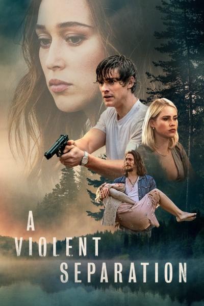 Cover of the movie A Violent Separation