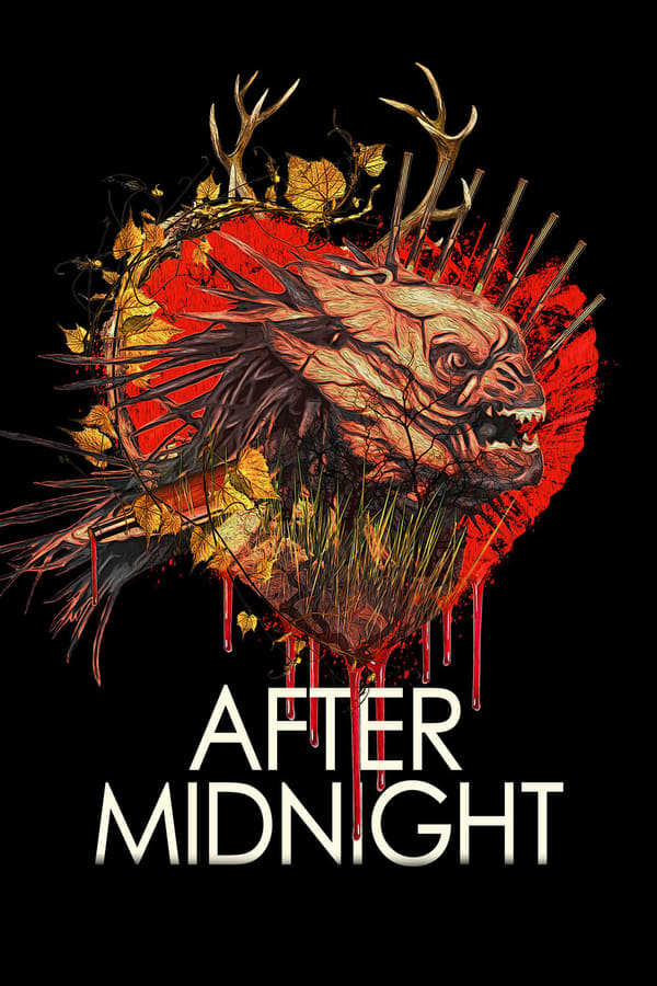Cover of the movie After Midnight