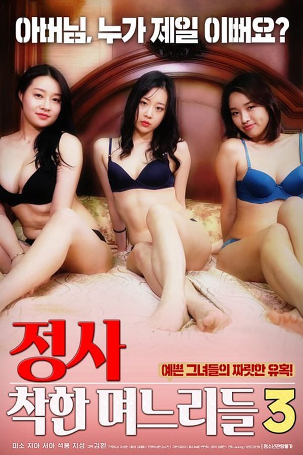 Cover of the movie An Affair: Kind Daughters-in-law 3