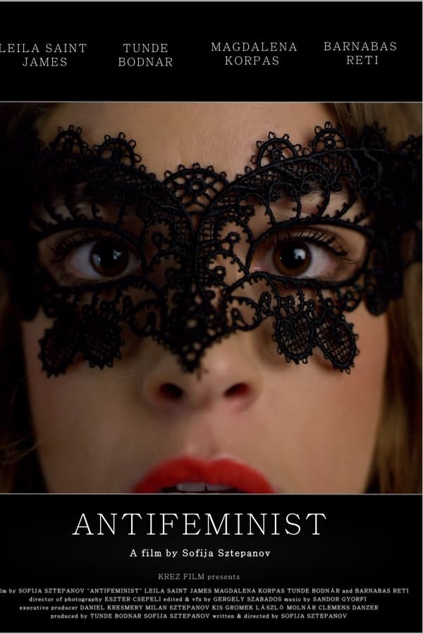 Cover of the movie Antifeminist