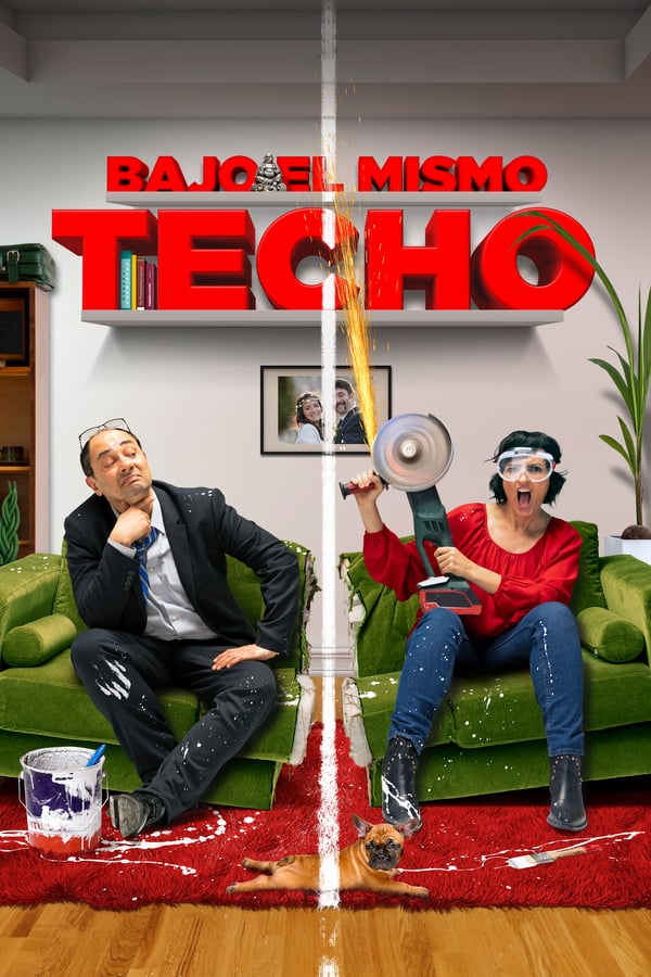 Cover of the movie Bajo el mismo techo