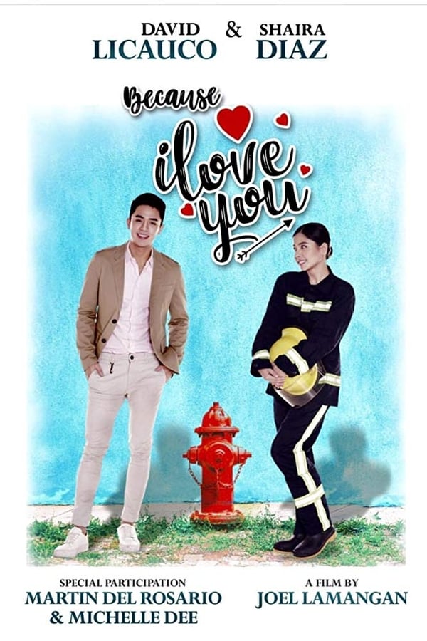 Cover of the movie Because I Love You