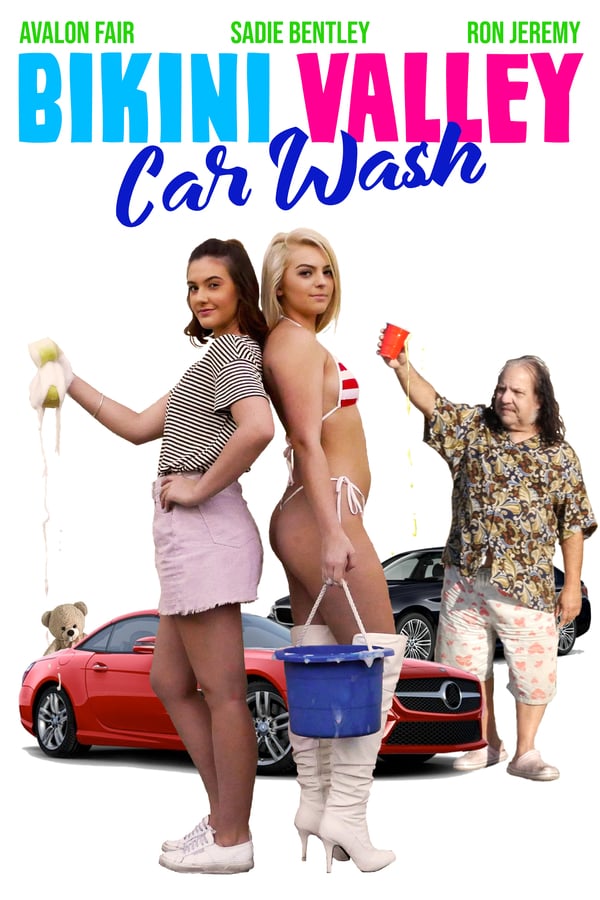 Cover of the movie Bikini Valley Car Wash