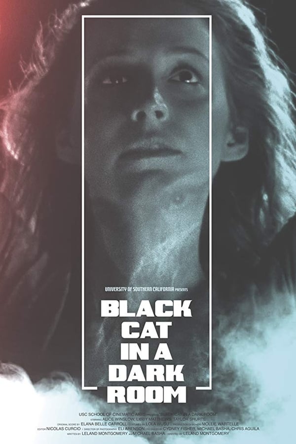 Cover of the movie Black Cat in a Dark Room