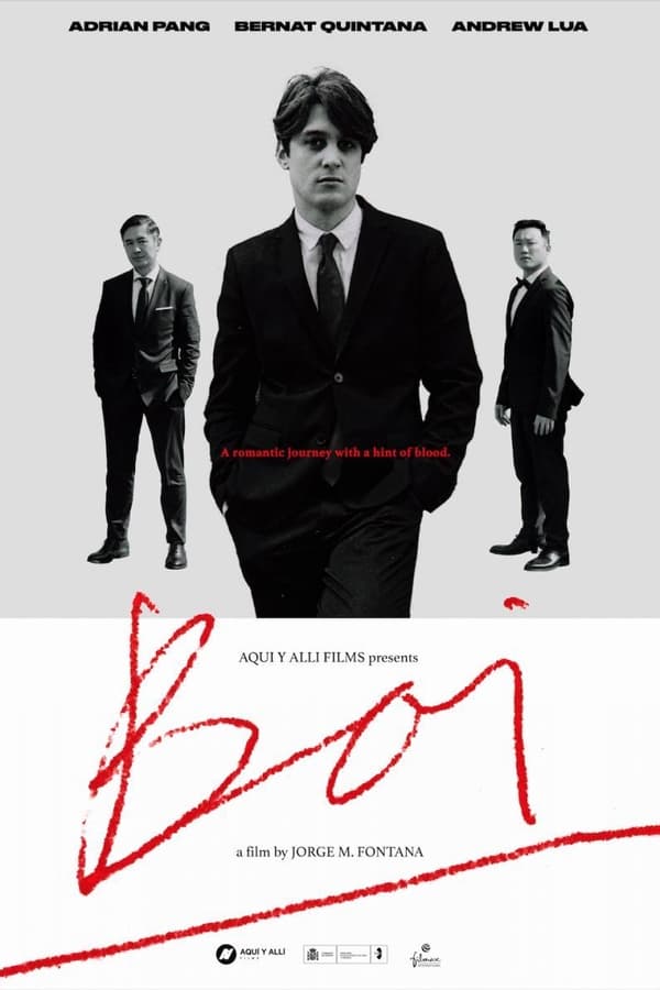 Cover of the movie Boi