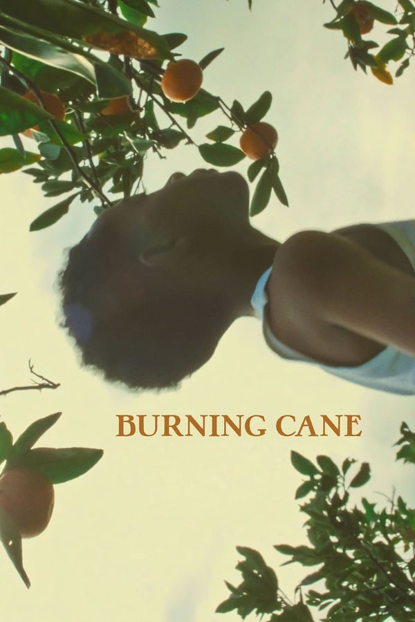 Cover of the movie Burning Cane