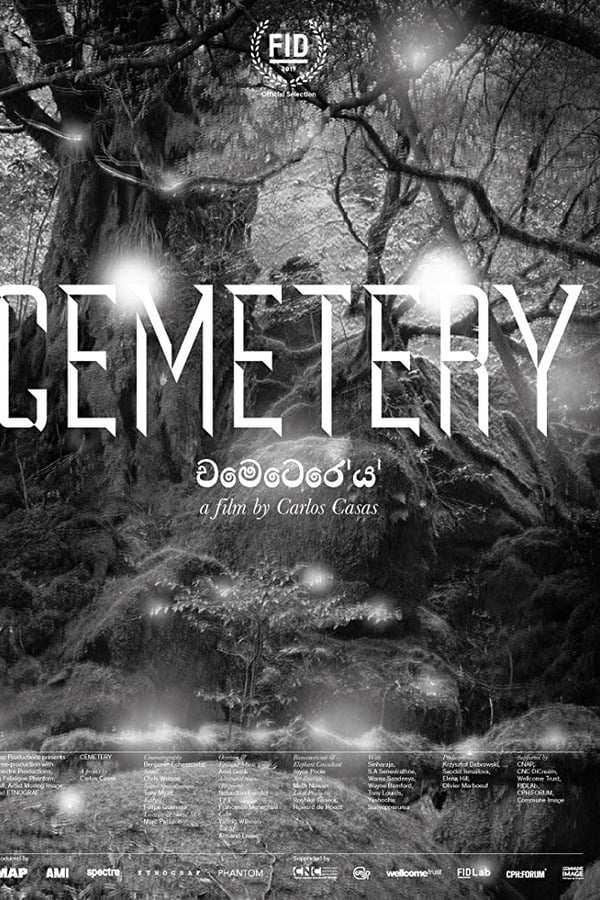 Cover of the movie Cemetery