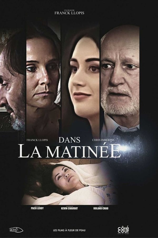 Cover of the movie Dans la matinée