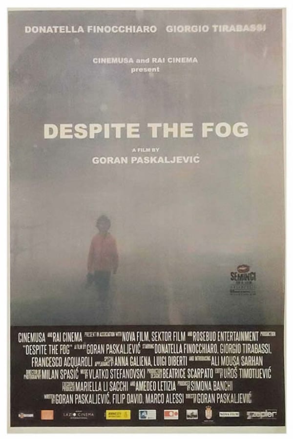 Cover of the movie Despite the Fog