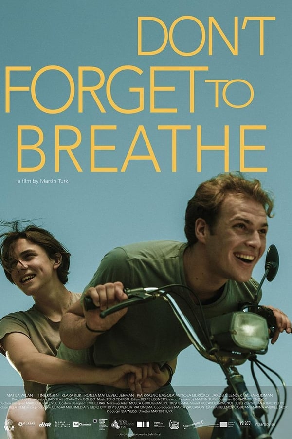 Cover of the movie Don't Forget to Breathe