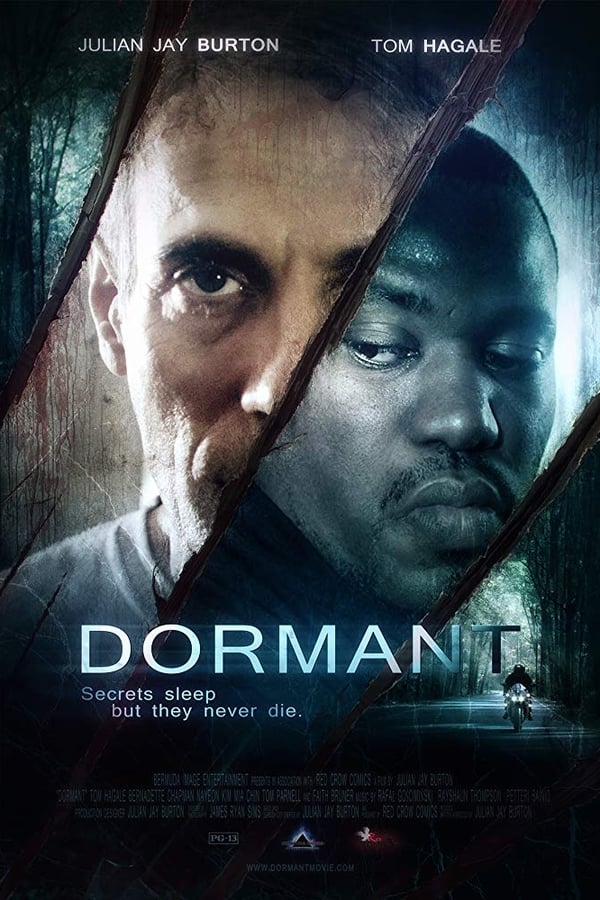 Cover of the movie Dormant